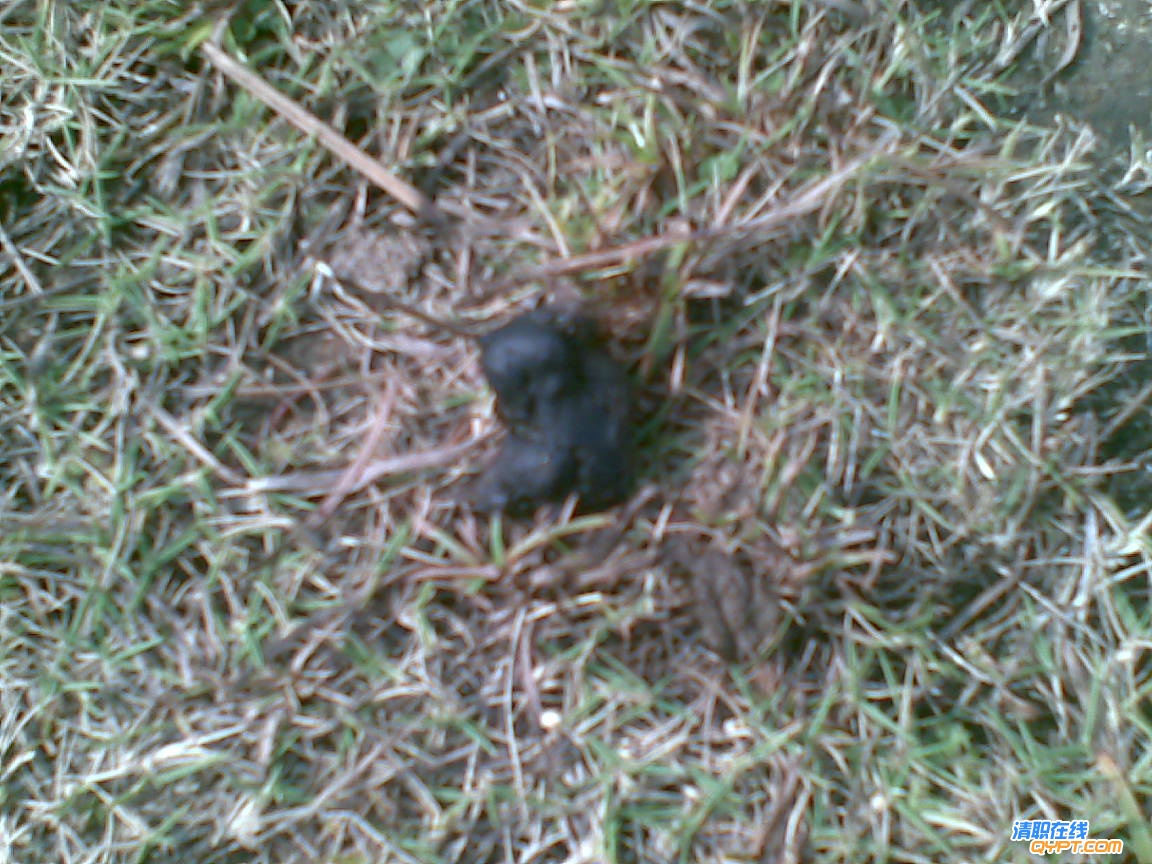 20101116(003).jpg