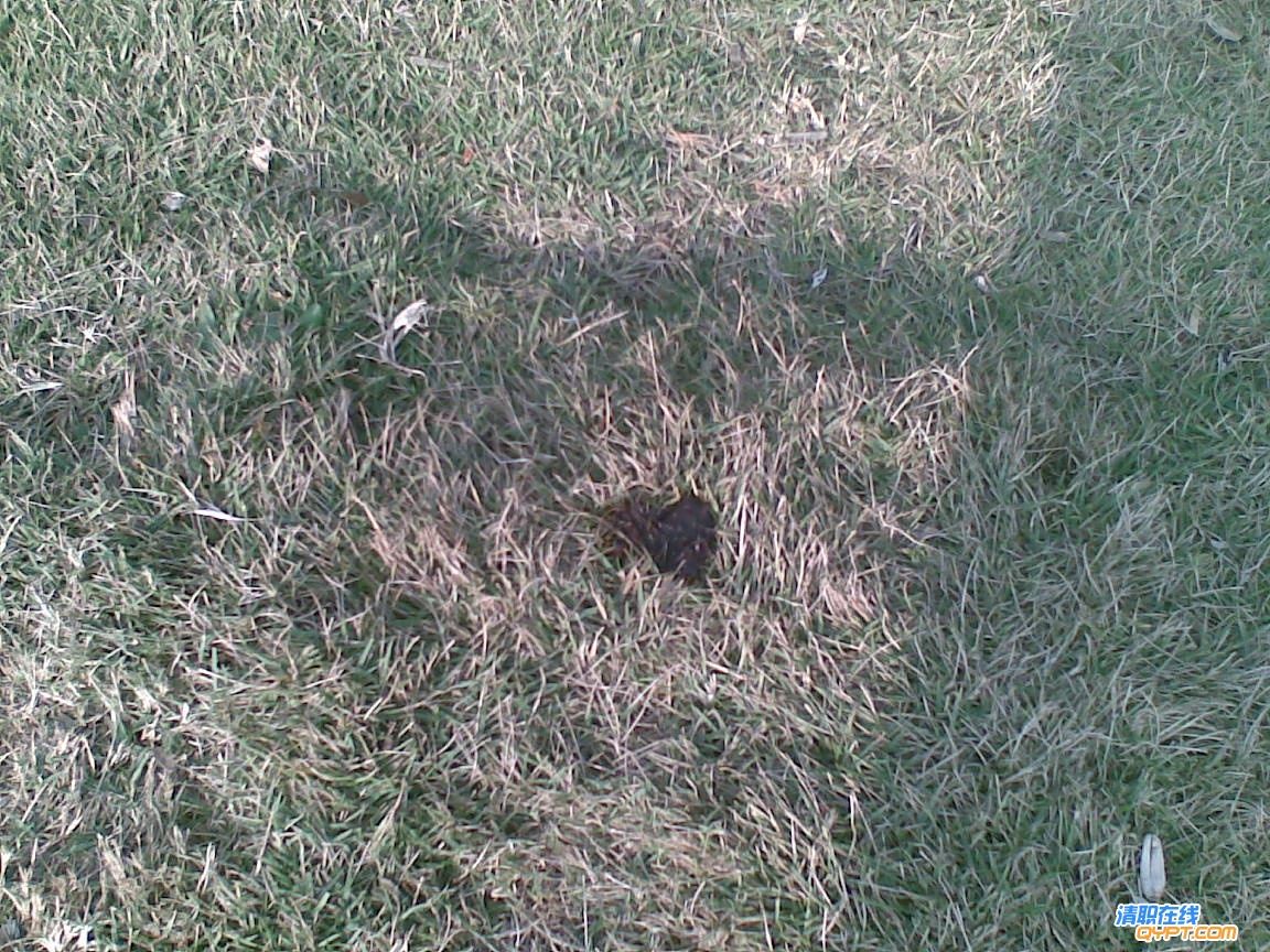 20101116(006).jpg