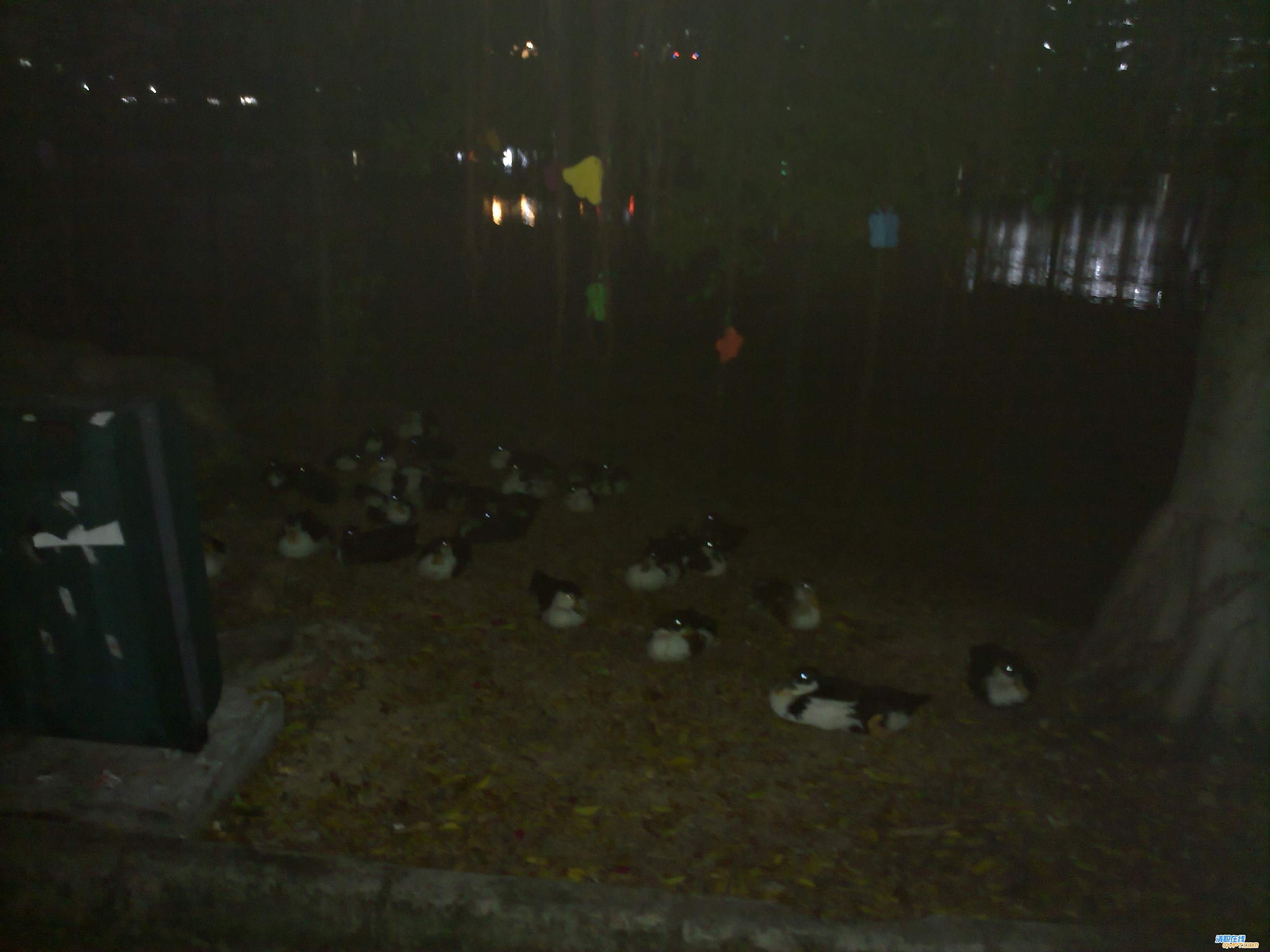 20101115029.jpg