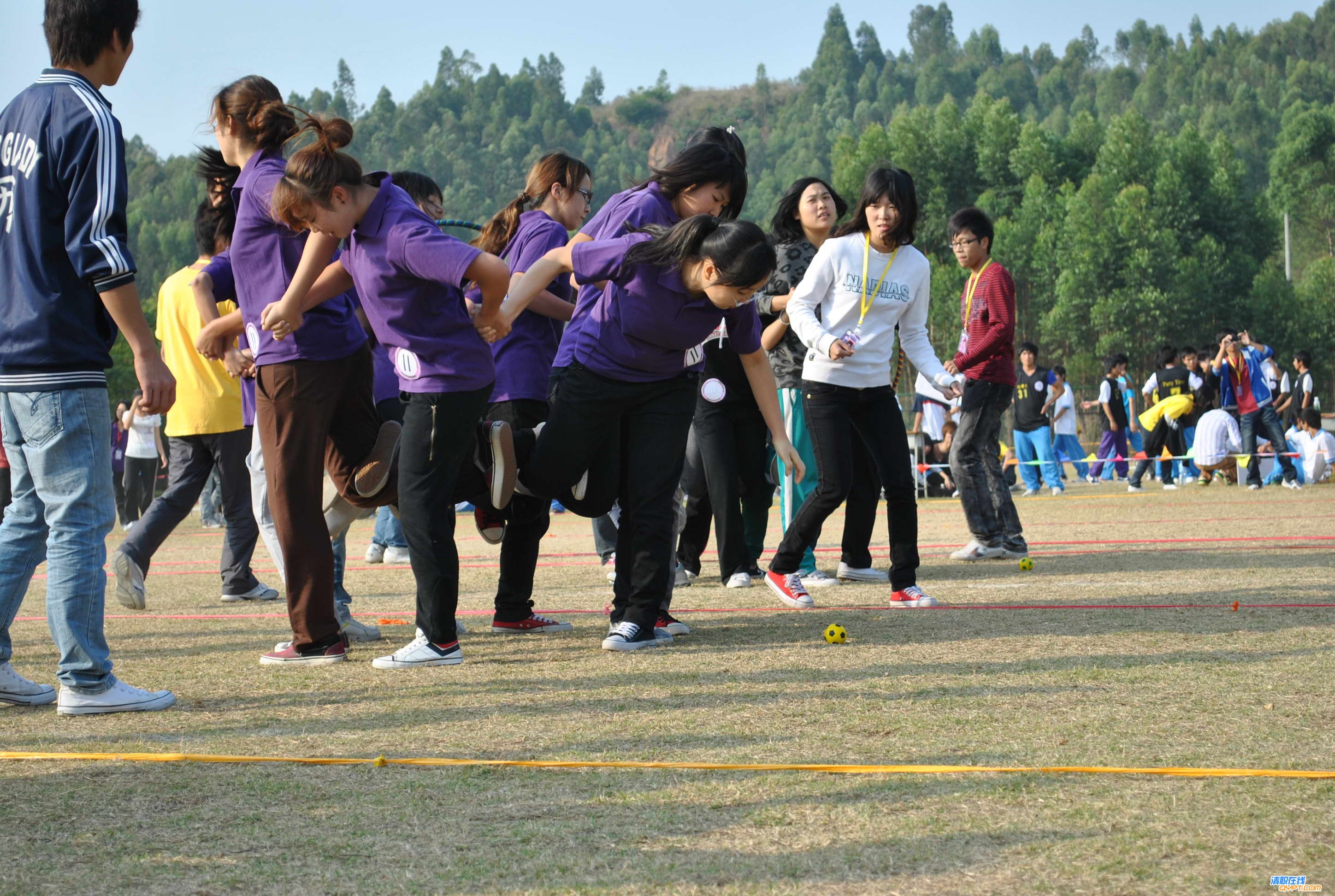 DSC_0173.jpg