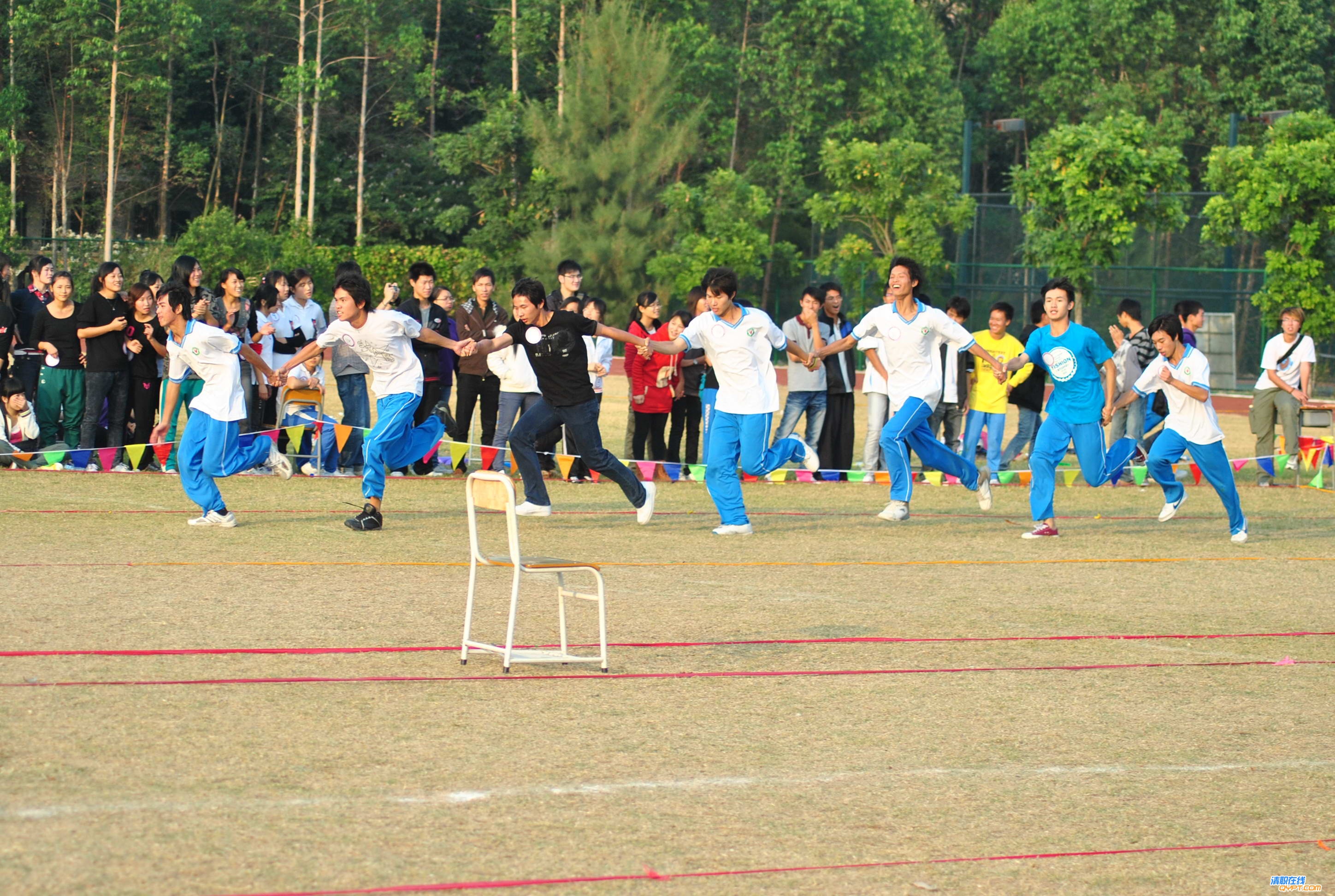 DSC_0393.jpg