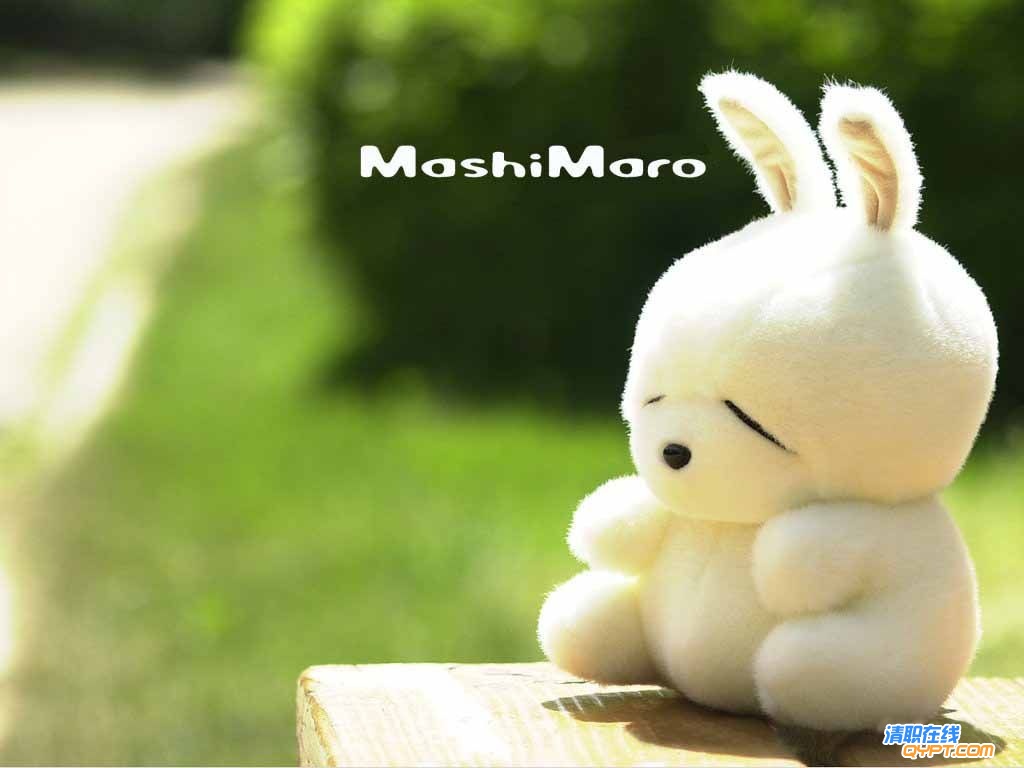 ea82f162854b9a6eaa184c4f.jpg