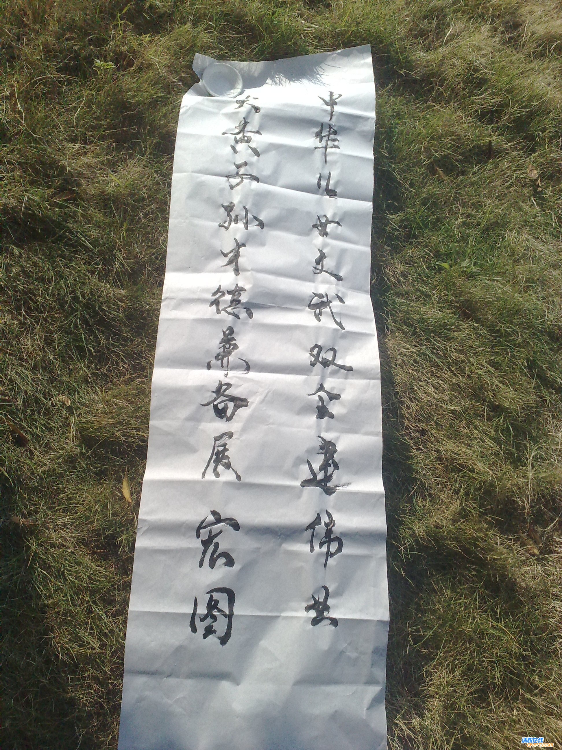 201011203184.jpg
