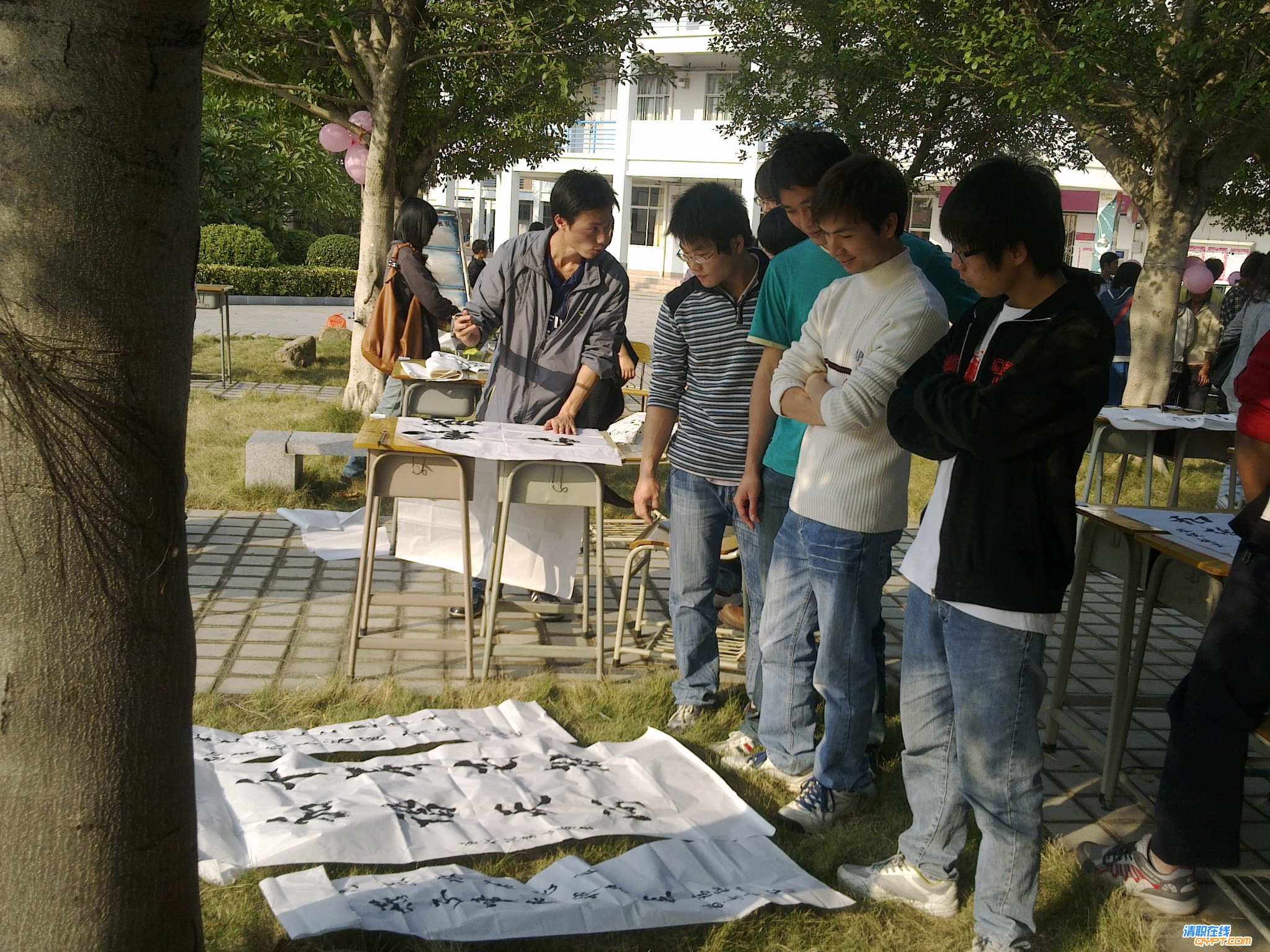 20101120482.jpg