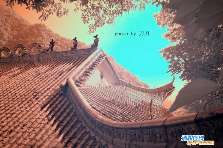 1378101485977309801.jpg