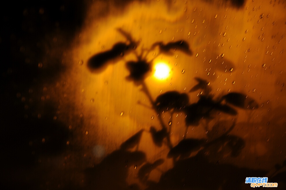 xDSC_0016.jpg