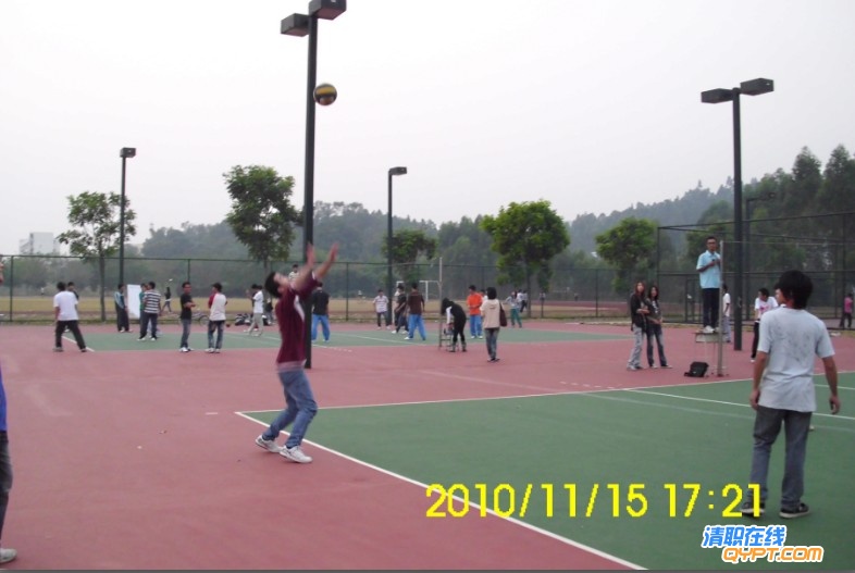13.jpg