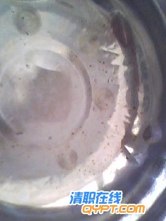 20110303_002.jpg