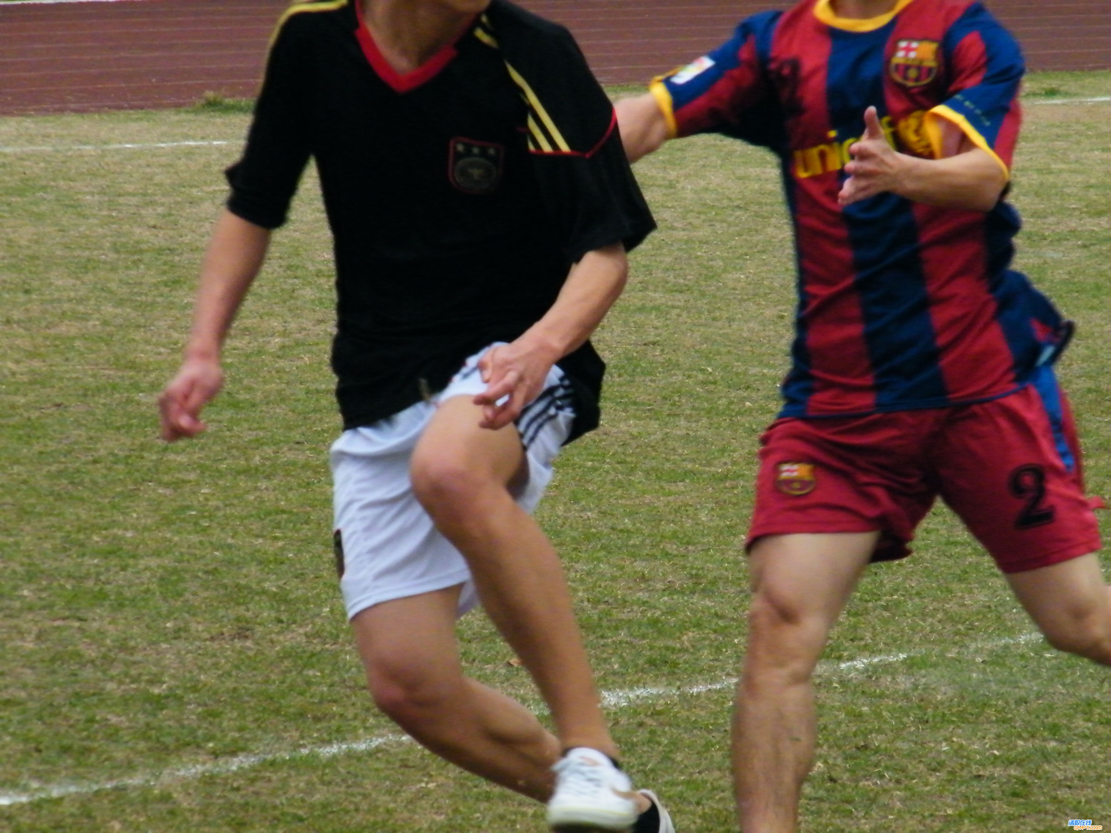 DSCF3576.jpg
