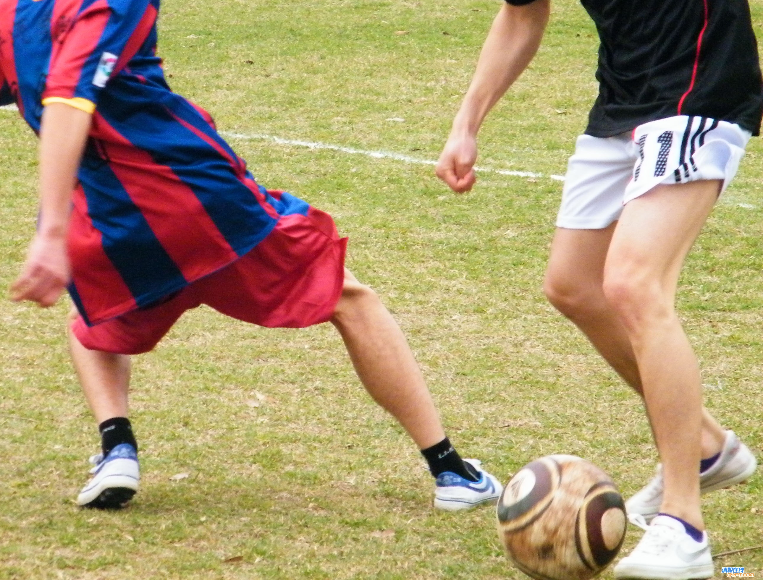 DSCF3564.jpg