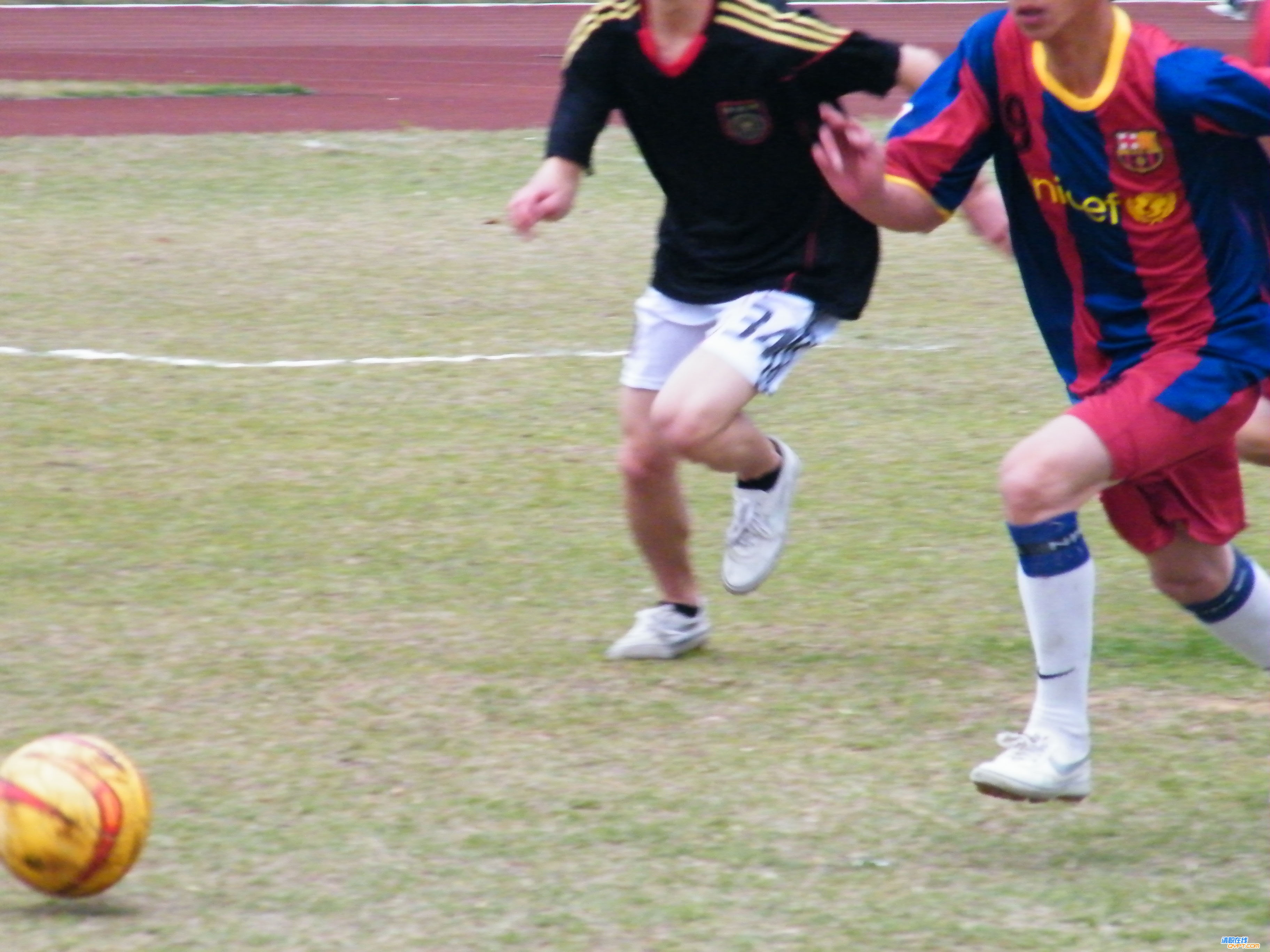 DSCF3682.jpg